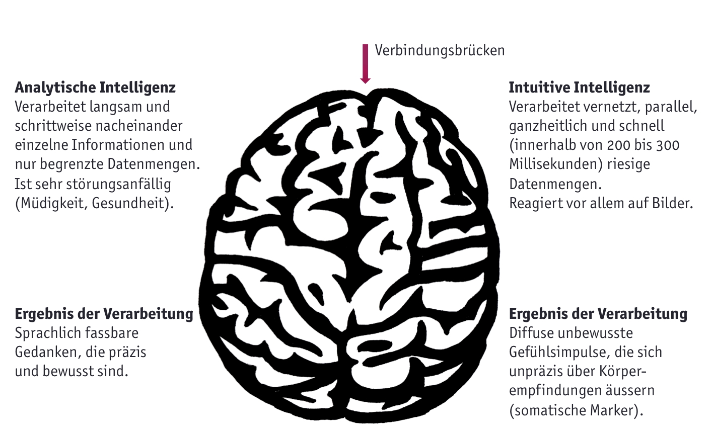 Grafik Hirnh&auml;lften
